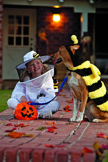 Dog And Human Halloween Costume Ideas - Tips for a Pet-Friendly, Family-Friendly Halloween - neafamily.com